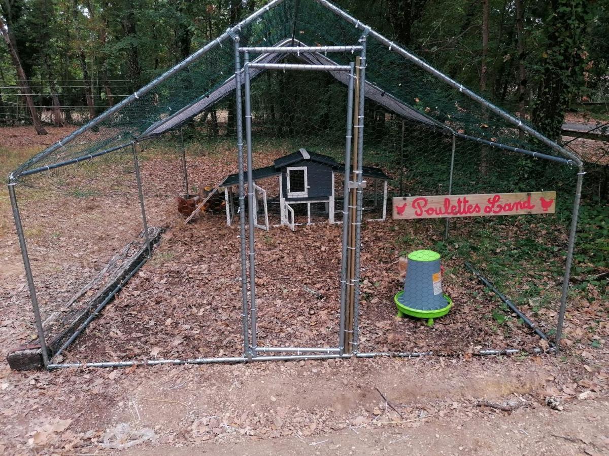 8-Gite 5 Personnes Avec Piscine Saint-Aubin-de-Nabirat Εξωτερικό φωτογραφία